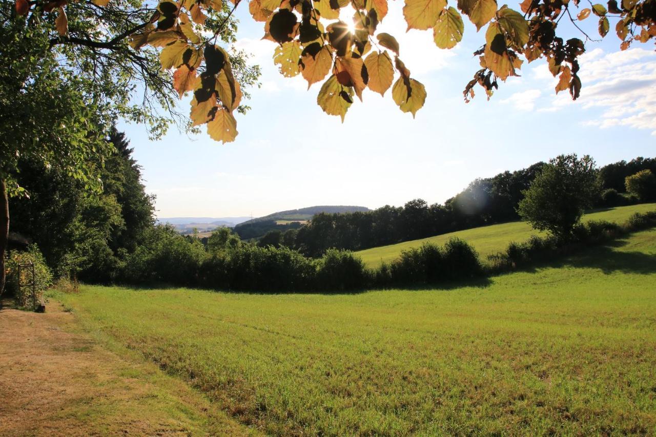 Ferienwohnung Naturfreund Lügde Kültér fotó